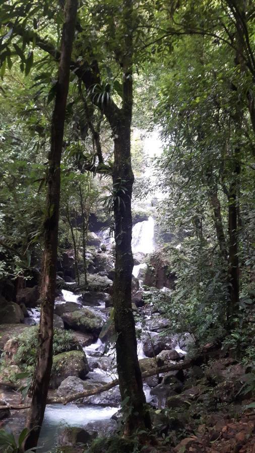 Rainforest Yasmin Hotel ซานตาเฟ ภายนอก รูปภาพ