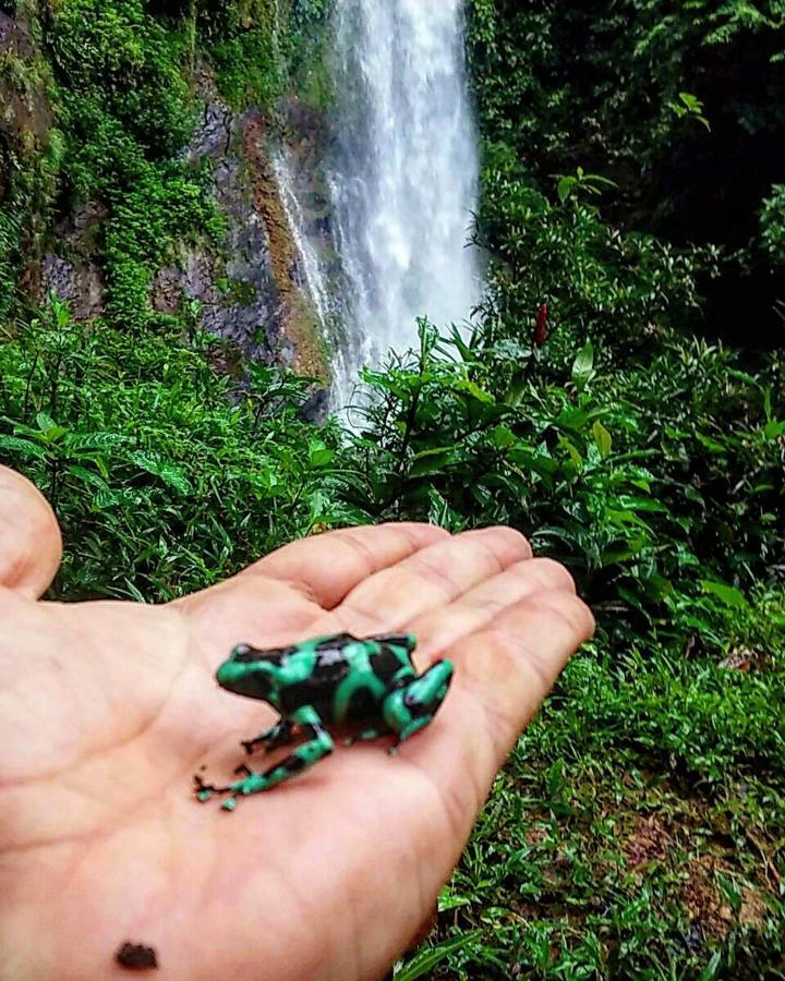 Rainforest Yasmin Hotel ซานตาเฟ ภายนอก รูปภาพ