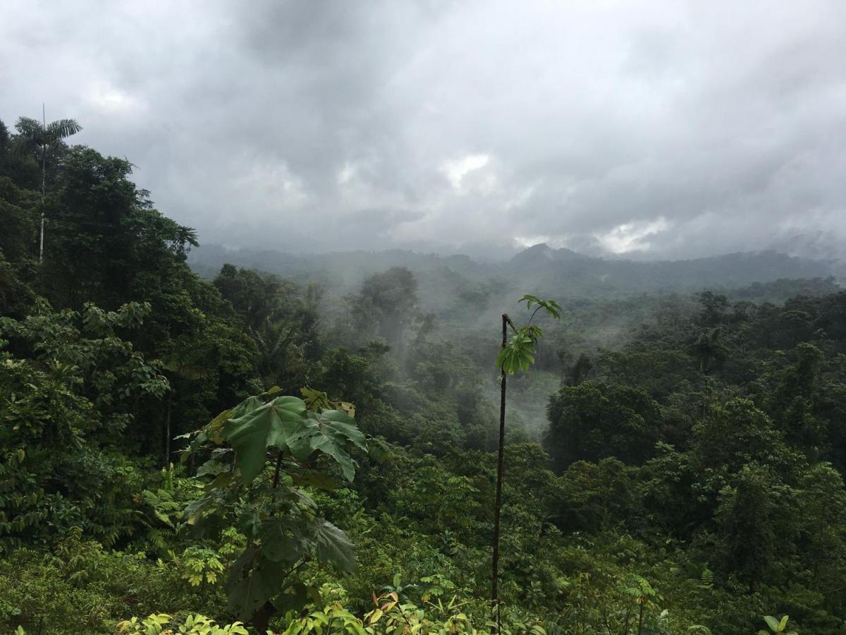Rainforest Yasmin Hotel ซานตาเฟ ภายนอก รูปภาพ